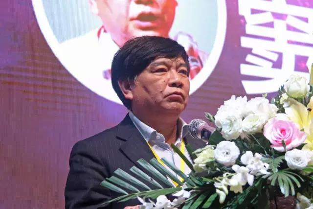 中國炤明(ming)學會祕書長竇林平.jpg